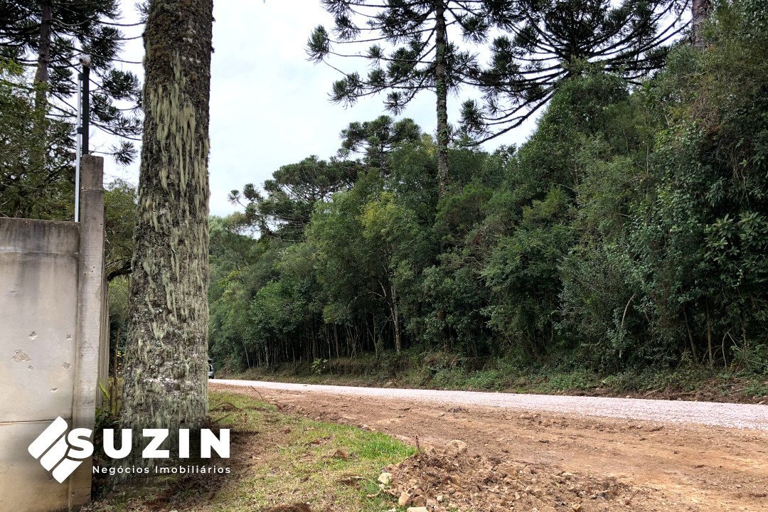 terreno, lote, ana rech, vila pinheiros, caxias do sul, lugar tranquilo